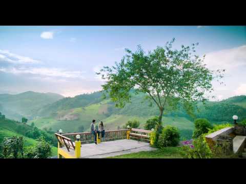 Trailer สี่เส้า Love is V.2