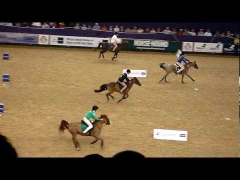 Pony club mounted games hoys 2011