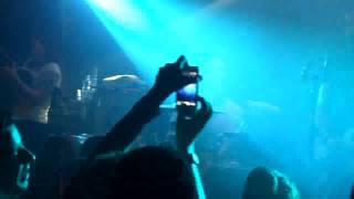 Dandy Warhols LIVE &quot;Well They&#39;re gone&quot;