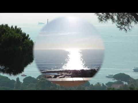 @ionbogdanstefanescu  Ghenadie Ciobanu - Umbrele diminetii