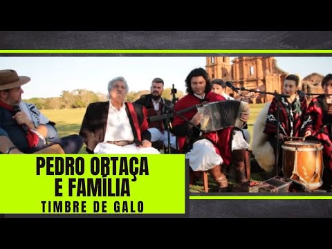 TIMBRE DE GALO - Pedro Ortaça e Família (Programa De Campo e Alma)
