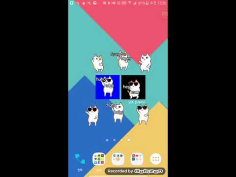 Dancing Cat-Cute Pet Video