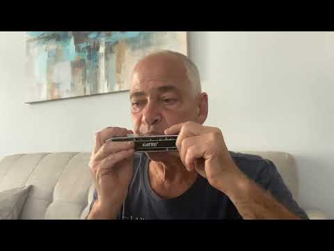Lenny Blue Chromatic harmonicas East-top  vs Suzuki