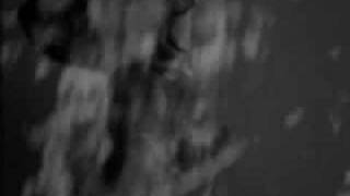 Wach - The Fear