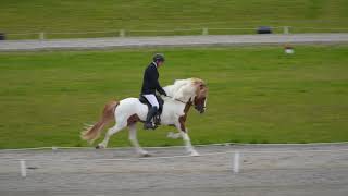 Teitur og Hafsteinn F1 ísl 2018