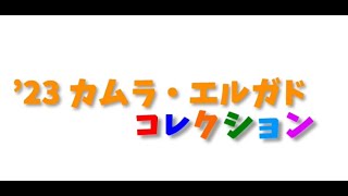 【サンブレイク】モンハン重ね着コーデ　カムラ・エルガドコレクション【アド街ック天国】