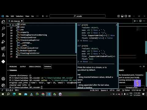 Mm Python Dictionary Clear Method Explained