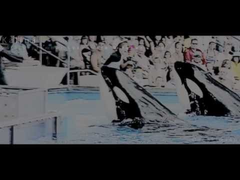 Happy Birthday, Kalina.