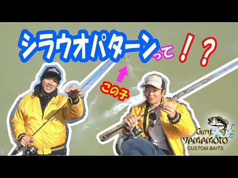 春の北浦でシラウオパターンを検証！ ～冨沢真樹・江尻悠真・河辺裕和～