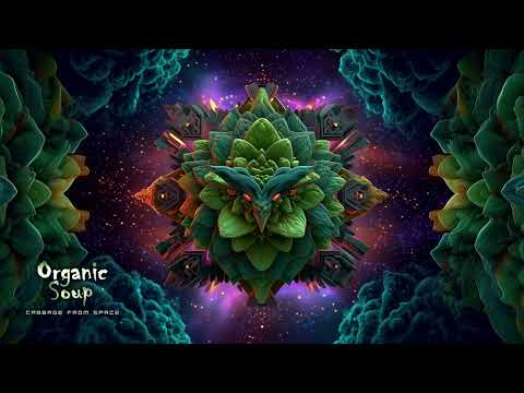 Organic Soup - Cabbage From Space