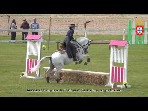 220501 Sub20 Prova de Maneabilidade III Jornada CNET