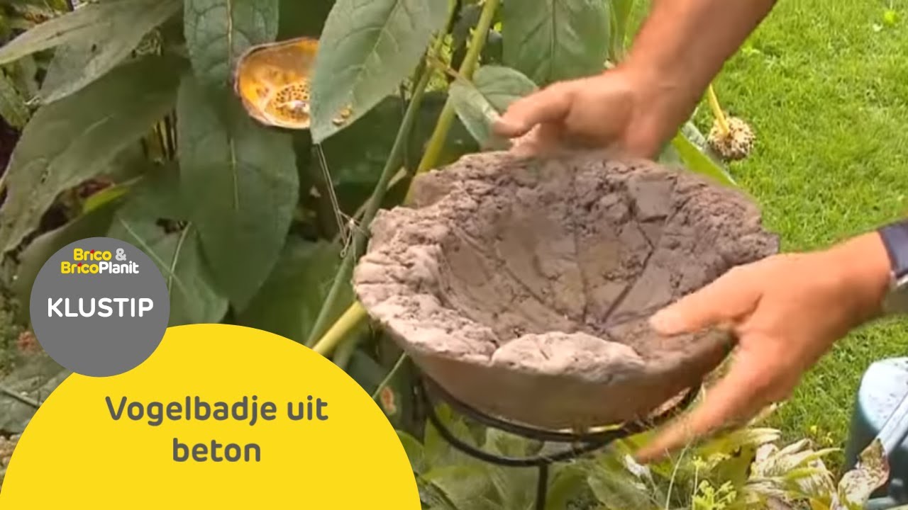 Maak een vogelbadje uit beton | Stap voor Stap | Brico.be