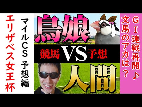 大波乱？秋のＧⅠ連戦 アカはアカでも…？【エリザベス女王杯＋マイルＣＳ】#46