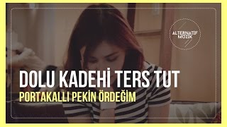Dolu Kadehi Ters Tut - Portakallı Pekin Ördeğim [Klip] #alternatifmuzik