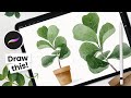 How To Draw Watercolor Fiddle Leaf Fig Tree Procreate Tutorial