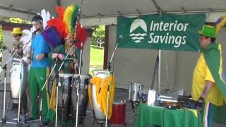 Brazilian Music at the Fat Cat Festival