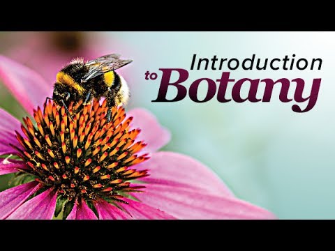 Plant Science: An Introduction to Botany | Wondrium