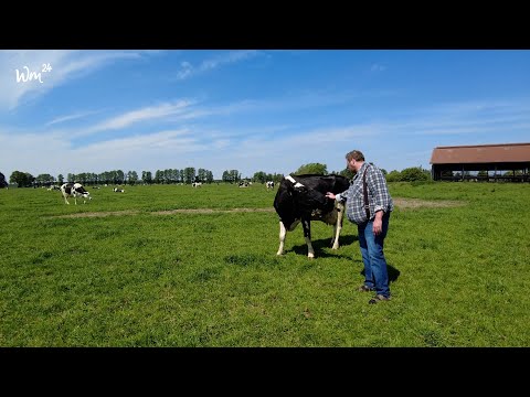 Milchhof Osterwiese - Artgerechte Weidehaltung