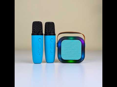 Wireless Portable Speaker With Microphone 2 Mic