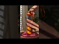 Squeeze The Day Easy Orange Juice With BlendJet