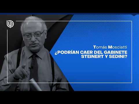 Comentario de Tomás Mosciatti: ¿Podrían caer del gabinete Steinert y Sedini?