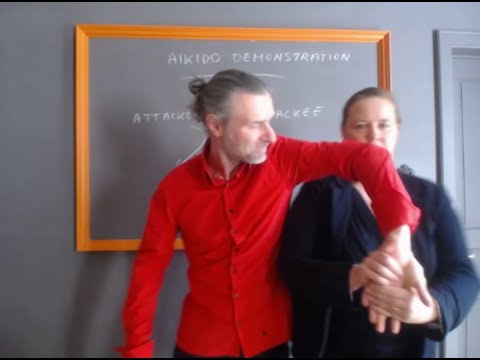 Aikido demo with aikido expert comment | Greet De Baets | Ghent University, Belgium