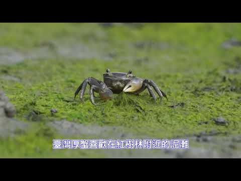☺ 圖片待補 ☺