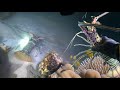 Discovered Lobster Holes On The Seabed Night Diving To Catch Seafood Crabs Fish Shrimp