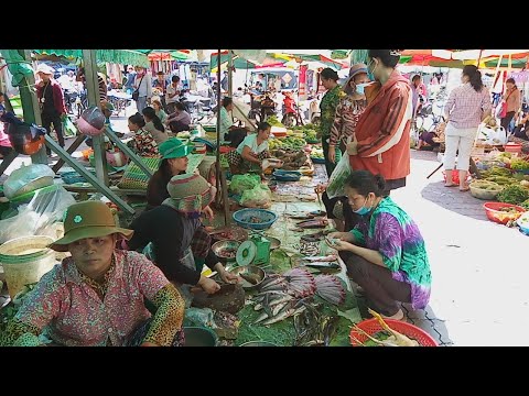 Market Food In Phnom Penh - Morning View On 6 Of June 2020 - Cambodian Street Food