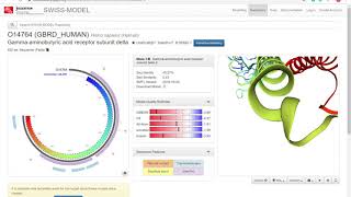 STRING: protein-protein interactions overview