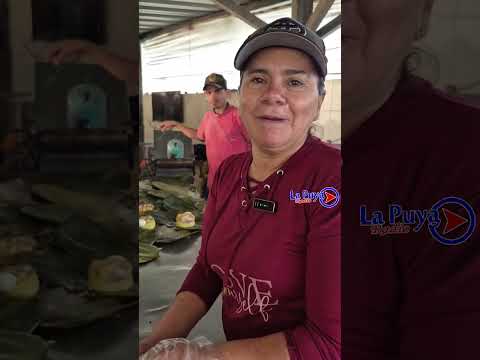 Tamales Acevedo Huila #youtubeshorts #viralvideo #noticias 