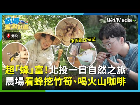 北投除了泡溫泉還能玩什麼？夏天的北投超「蜂」富！帶你到生態農場挖竹筍，認識獨居蜂，品嘗全台唯一火山咖啡！【城鄉走跳計畫】EP12