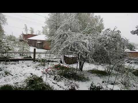 Рыбалка отменяется,аномалия 21 мая