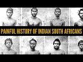 Indian South Africans The Painful Story Of Indentured Labourers African Biographics