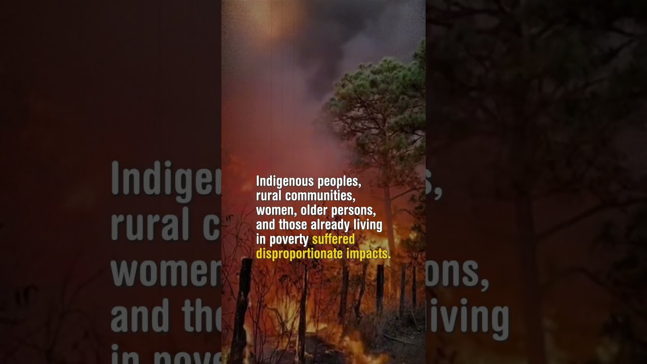 REDESCA publishes report on wildfires in Bolivia