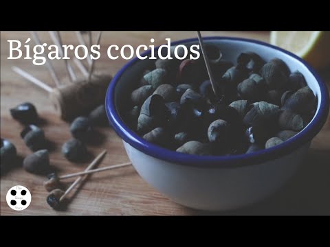 Bígaros cocidos | How to cook Sea snails - Periwinkles | The Soup Story