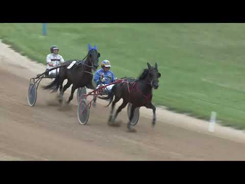 2017.09.02. 7. futam - DORA DÍJ