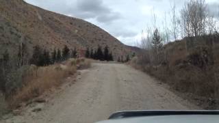 Little horse thief 1