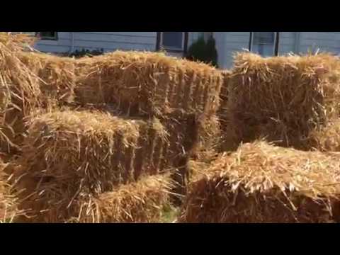 The Straw Bale Maze