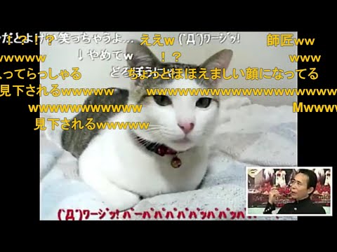 平沢進「私猫に見下されるのとか好きなんですよ」（コメント付き）