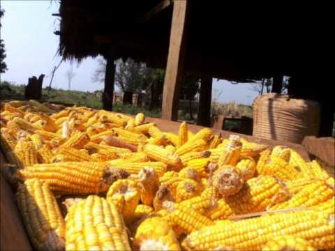 Victor Gimenez y su conjunto Santa Cecília - Floripa mi