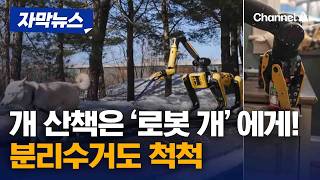 개 산책 시키는 '로봇 개'의 등장 [자막뉴스] / 채널A
