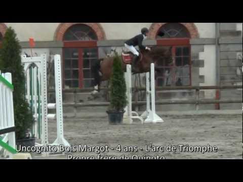 Uncognito Bois Margot - 4 ans 1 er parcours - Propre frère de Quinoto
