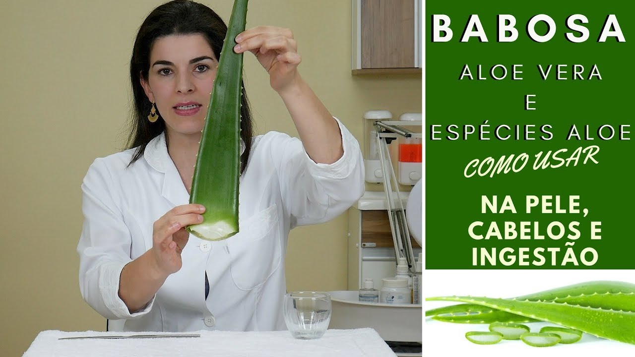 BABOSA na Pele, Cabelos e Consumo - Benefícios e Receitas Caseiras de Como Usar ALOE VERA