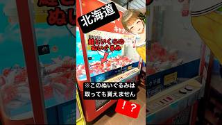 🐟北海道を女一人旅！「免許なし」でどこまで行けるか！？　#北海道 #新千歳 #vtuber