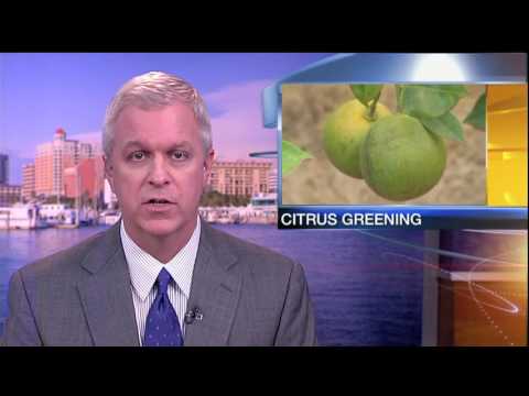 ABC7 News at 5:30pm - June 26 , 2017