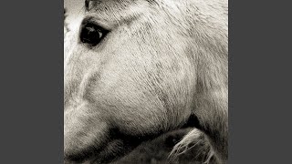 Bonny Light Horseman, Eric D. Johnson, Josh Kaufman, Anaïs Mitchell - Deep In Love