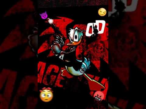 NOIS TA TIPO SURFISTA - DJ DONALD - DJ PATRICK MUNINZ - MC MENOR MT .