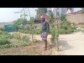 Village Vlog Bulti Bangla Vlog Gramin Block Your Comment Video