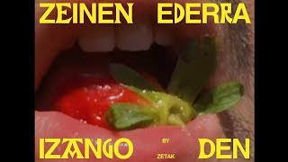 Zetak – ‘Zeinen ederra izango den’